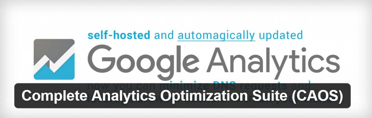 host google analytics locally plugin